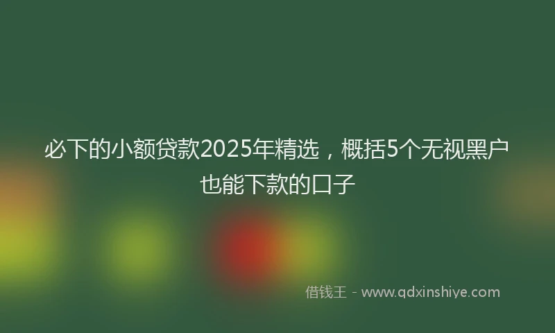 必下的小额贷款2025年精选，概括5个无视黑户也能下款的口子