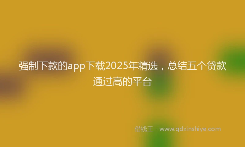 强制下款的app下载2025年精选，总结五个贷款通过高的平台