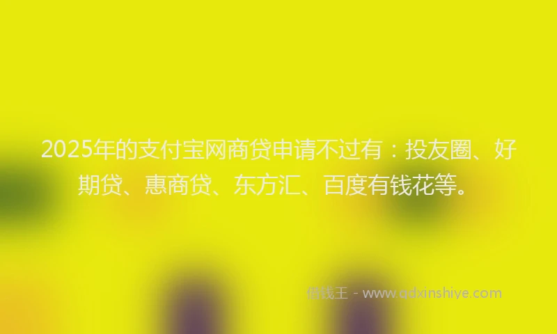 2025年的支付宝网商贷申请不过有：投友圈、好期贷、惠商贷、东方汇、百度有钱花等。