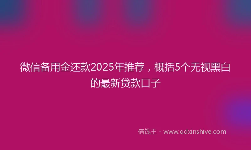 微信备用金还款2025年推荐，概括5个无视黑白的最新贷款口子