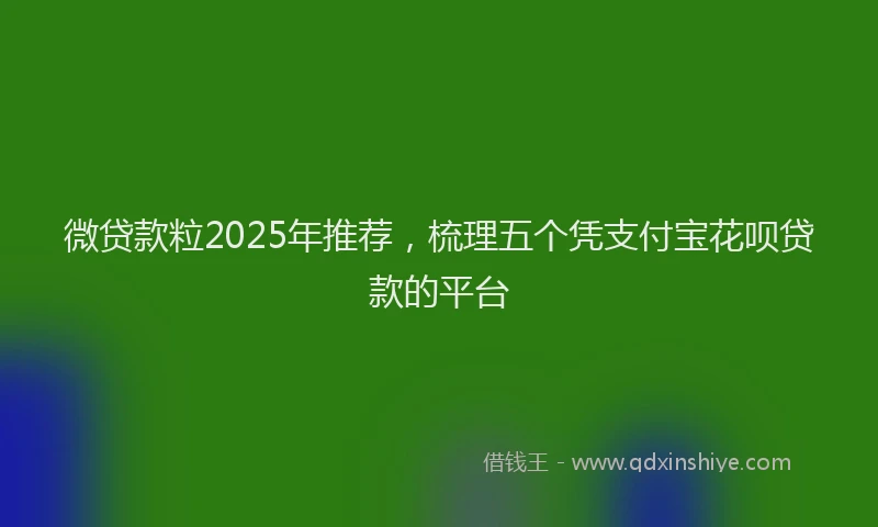 微贷款粒2025年推荐，梳理五个凭支付宝花呗贷款的平台