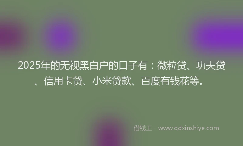 2025年的无视黑白户的口子有：微粒贷、功夫贷、信用卡贷、小米贷款、百度有钱花等。