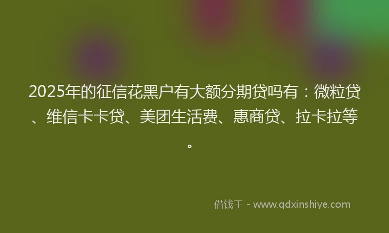 2025年的征信花黑户有大额分期贷吗有：微粒贷、维信卡卡贷、美团生活费、惠商贷、拉卡拉等。