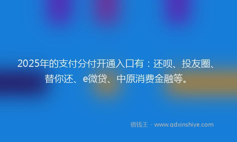 2025年的支付分付开通入口有：还呗、投友圈、替你还、e微贷、中原消费金融等。