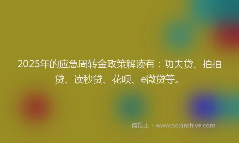 2025年的应急周转金政策解读有：功夫贷、拍拍贷、读秒贷、花呗、e微贷等。