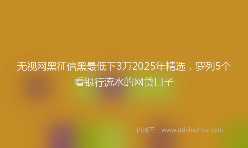 无视网黑征信黑最低下3万2025年精选，罗列5个看银行流水的网贷口子