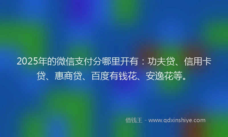 2025年的微信支付分哪里开有：功夫贷、信用卡贷、惠商贷、百度有钱花、安逸花等。