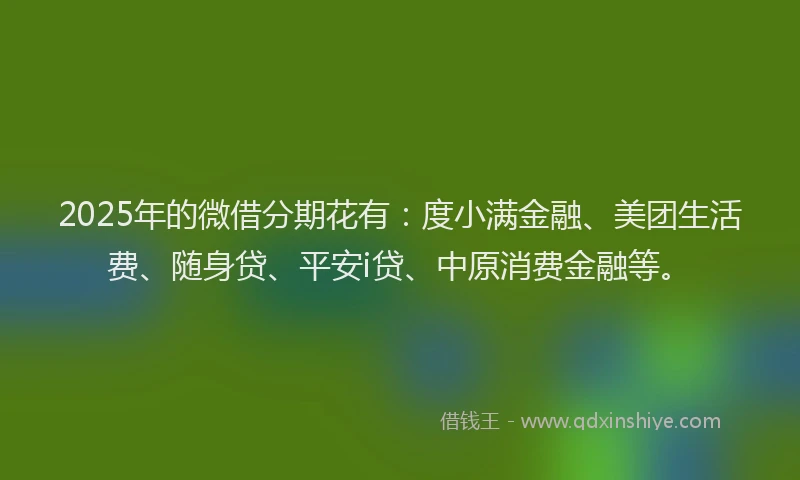 2025年的微借分期花有：度小满金融、美团生活费、随身贷、平安i贷、中原消费金融等。