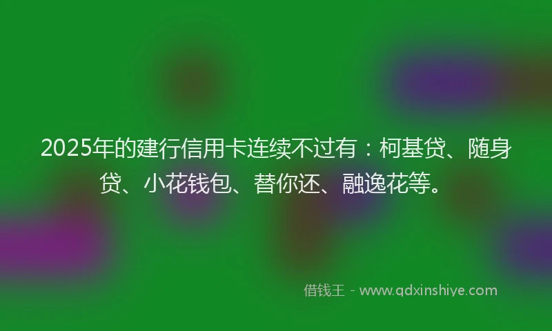 2025年的建行信用卡连续不过有：柯基贷、随身贷、小花钱包、替你还、融逸花等。