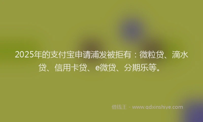2025年的支付宝申请浦发被拒有：微粒贷、滴水贷、信用卡贷、e微贷、分期乐等。