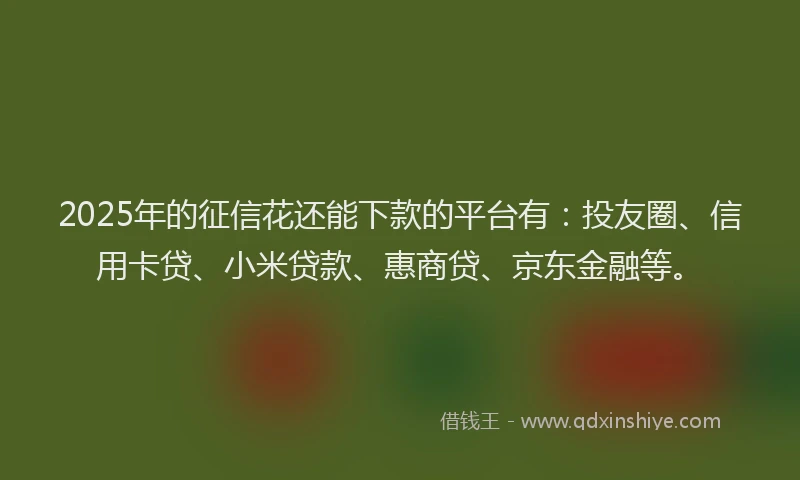 2025年的征信花还能下款的平台有：投友圈、信用卡贷、小米贷款、惠商贷、京东金融等。