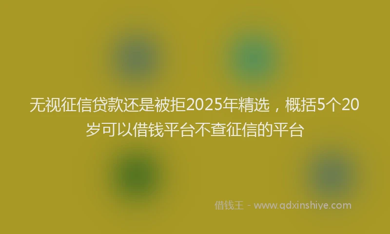 无视征信贷款还是被拒2025年精选，概括5个20岁可以借钱平台不查征信的平台