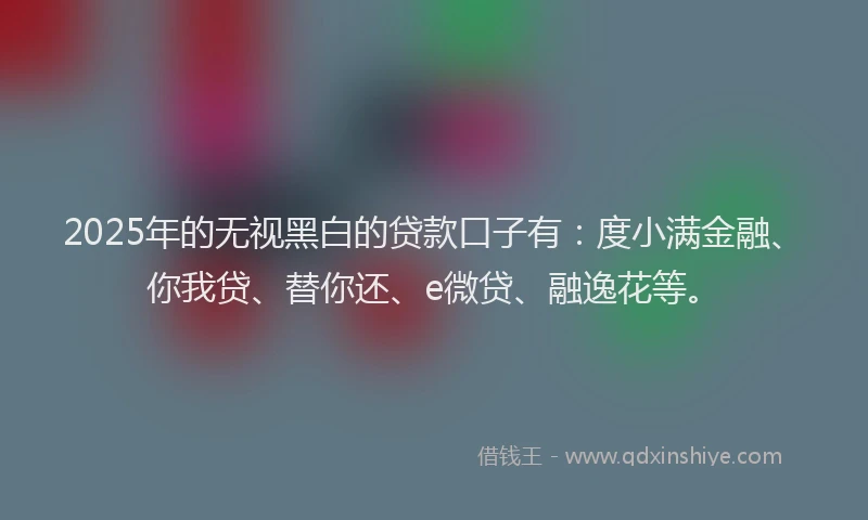 2025年的无视黑白的贷款口子有：度小满金融、你我贷、替你还、e微贷、融逸花等。
