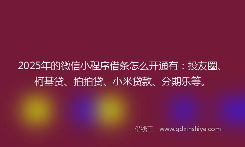 2025年的微信小程序借条怎么开通有：投友圈、柯基贷、拍拍贷、小米贷款、分期乐等。