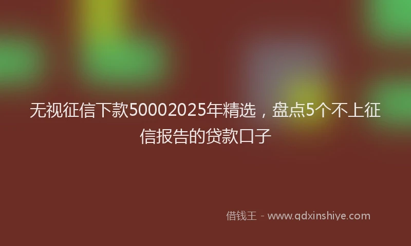 无视征信下款50002025年精选，盘点5个不上征信报告的贷款口子