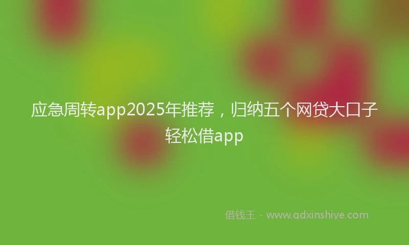 应急周转app2025年推荐，归纳五个网贷大口子轻松借app