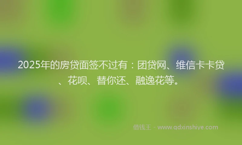 2025年的房贷面签不过有：团贷网、维信卡卡贷、花呗、替你还、融逸花等。