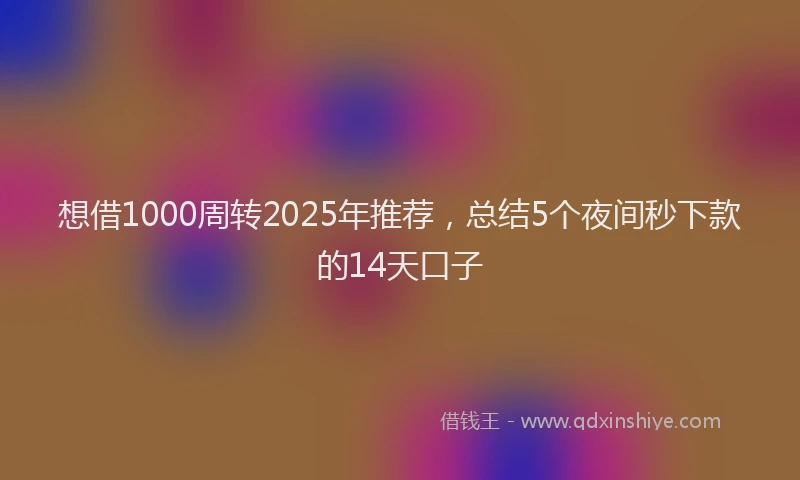 想借1000周转2025年推荐，总结5个夜间秒下款的14天口子