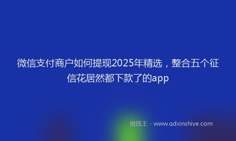 微信支付商户如何提现2025年精选，整合五个征信花居然都下款了的app