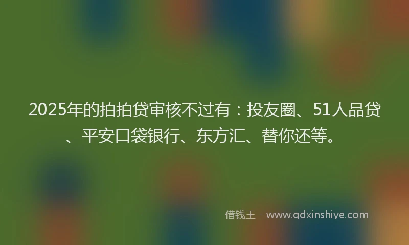 2025年的拍拍贷审核不过有：投友圈、51人品贷、平安口袋银行、东方汇、替你还等。