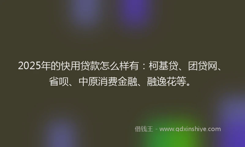 2025年的快用贷款怎么样有：柯基贷、团贷网、省呗、中原消费金融、融逸花等。