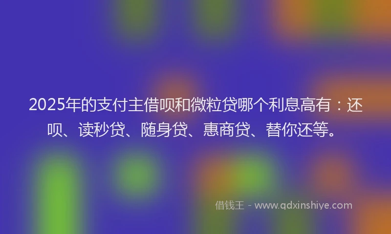 2025年的支付主借呗和微粒贷哪个利息高有：还呗、读秒贷、随身贷、惠商贷、替你还等。