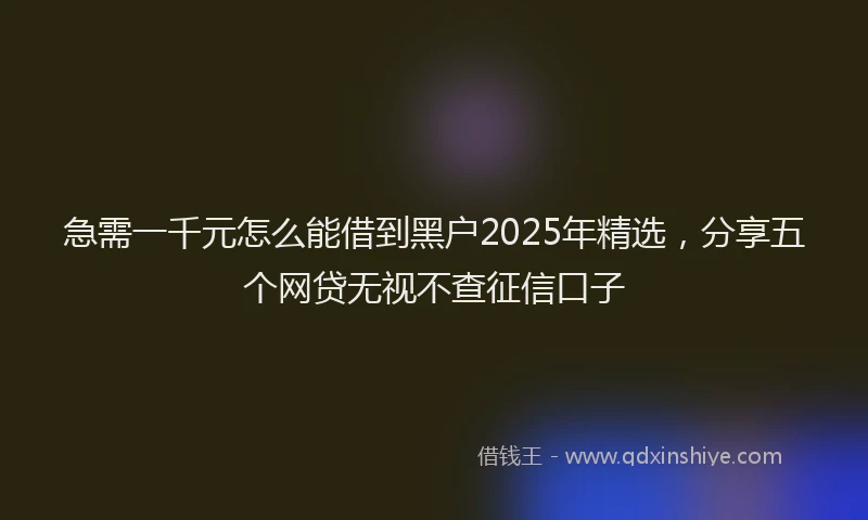 急需一千元怎么能借到黑户2025年精选，分享五个网贷无视不查征信口子