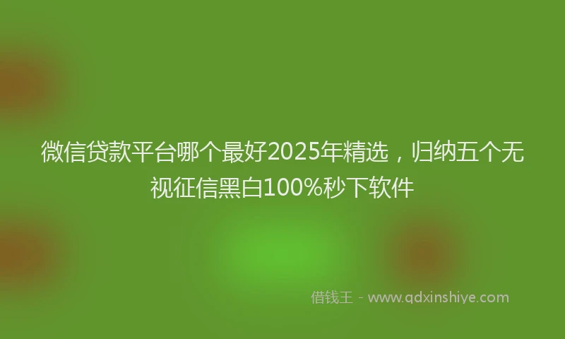 微信贷款平台哪个最好2025年精选，归纳五个无视征信黑白100%秒下软件