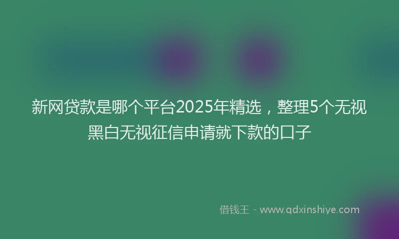 新网贷款是哪个平台2025年精选，整理5个无视黑白无视征信申请就下款的口子
