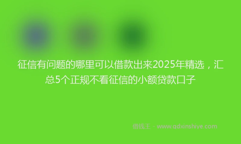 征信有问题的哪里可以借款出来2025年精选，汇总5个正规不看征信的小额贷款口子
