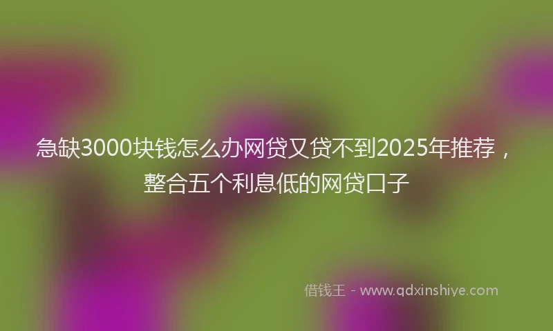 急缺3000块钱怎么办网贷又贷不到2025年推荐，整合五个利息低的网贷口子