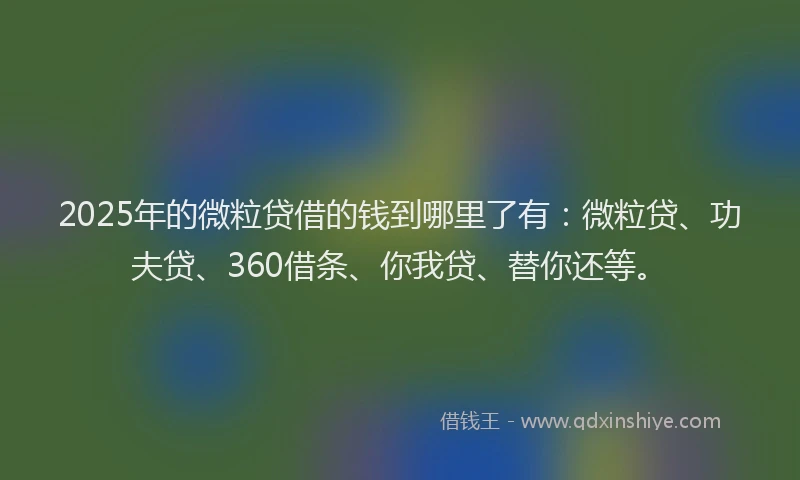 2025年的微粒贷借的钱到哪里了有：微粒贷、功夫贷、360借条、你我贷、替你还等。