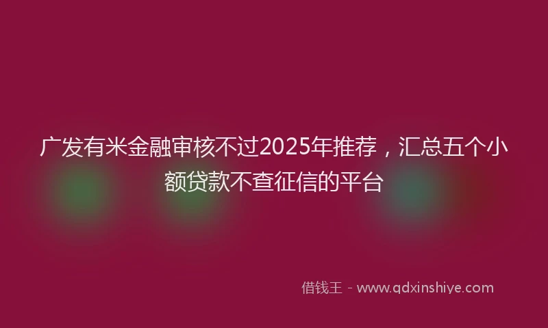 广发有米金融审核不过2025年推荐，汇总五个小额贷款不查征信的平台