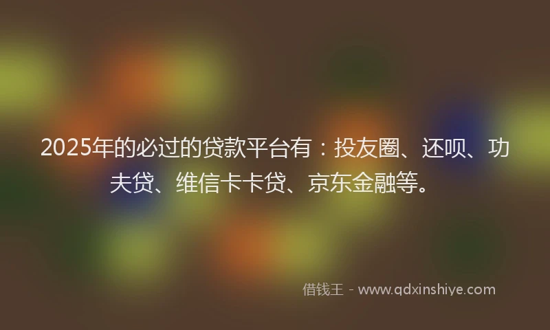 2025年的必过的贷款平台有：投友圈、还呗、功夫贷、维信卡卡贷、京东金融等。