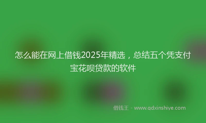 怎么能在网上借钱2025年精选，总结五个凭支付宝花呗贷款的软件