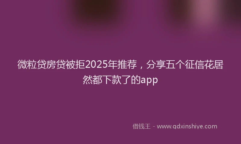 微粒贷房贷被拒2025年推荐，分享五个征信花居然都下款了的app