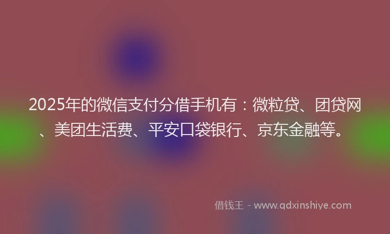 2025年的微信支付分借手机有：微粒贷、团贷网、美团生活费、平安口袋银行、京东金融等。