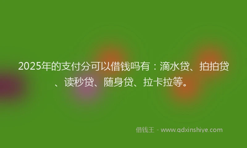 2025年的支付分可以借钱吗有：滴水贷、拍拍贷、读秒贷、随身贷、拉卡拉等。