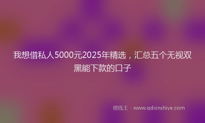 我想借私人5000元2025年精选，汇总五个无视双黑能下款的口子