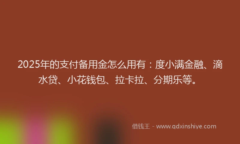2025年的支付备用金怎么用有：度小满金融、滴水贷、小花钱包、拉卡拉、分期乐等。