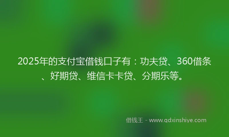 2025年的支付宝借钱口子有：功夫贷、360借条、好期贷、维信卡卡贷、分期乐等。