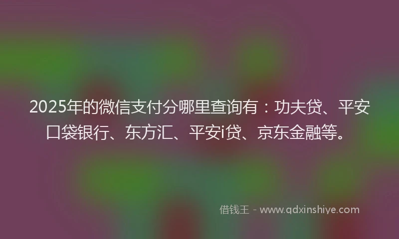 2025年的微信支付分哪里查询有：功夫贷、平安口袋银行、东方汇、平安i贷、京东金融等。