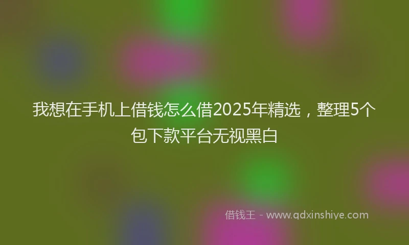 我想在手机上借钱怎么借2025年精选，整理5个包下款平台无视黑白