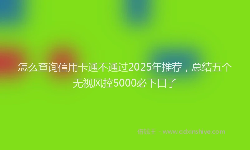 怎么查询信用卡通不通过2025年推荐，总结五个无视风控5000必下口子