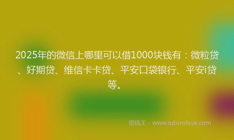2025年的微信上哪里可以借1000块钱有：微粒贷、好期贷、维信卡卡贷、平安口袋银行、平安i贷等。