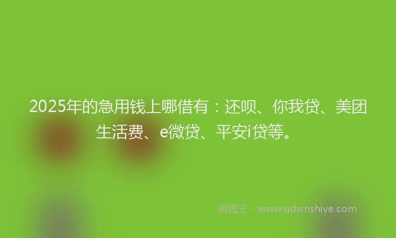 2025年的急用钱上哪借有：还呗、你我贷、美团生活费、e微贷、平安i贷等。