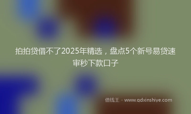 拍拍贷借不了2025年精选，盘点5个新号易贷速审秒下款口子
