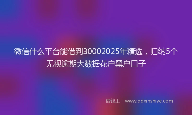 微信什么平台能借到30002025年精选，归纳5个无视逾期大数据花户黑户口子