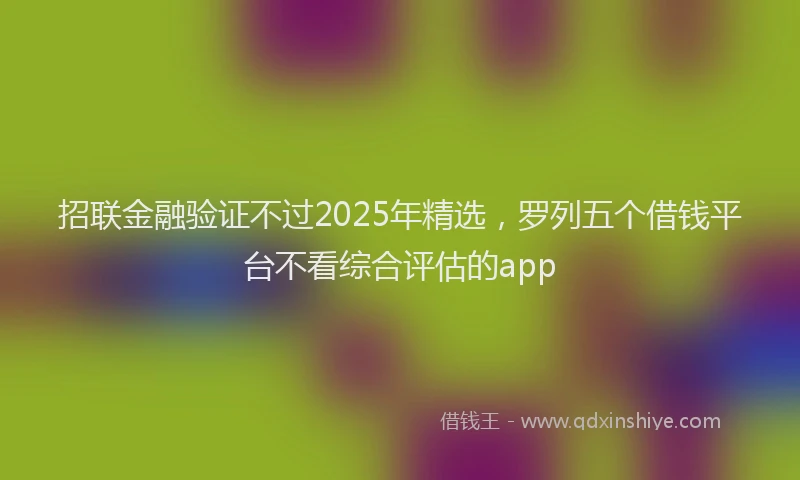 招联金融验证不过2025年精选，罗列五个借钱平台不看综合评估的app