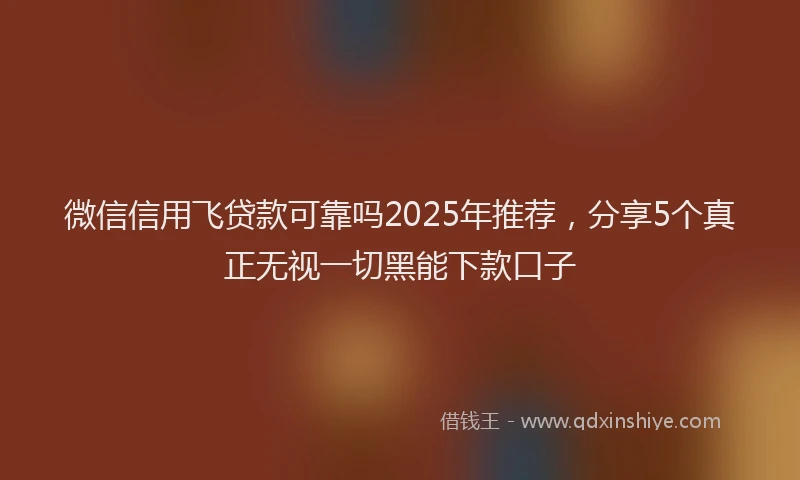 微信信用飞贷款可靠吗2025年推荐，分享5个真正无视一切黑能下款口子